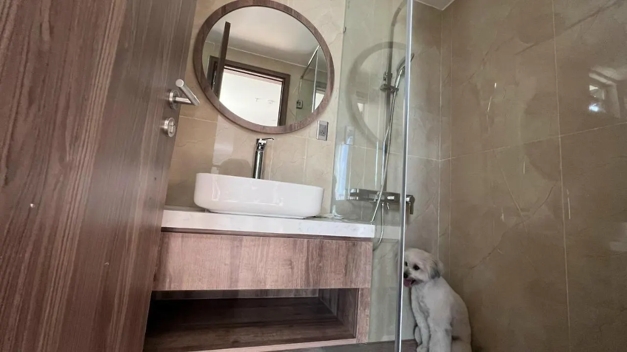 Evergreen Hotel & Apartment Da Nang 0*,
